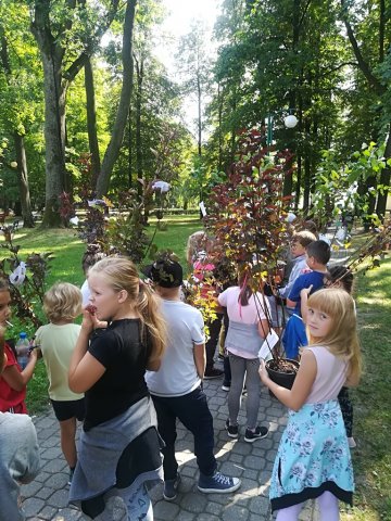Akcja "100 tysięcy drzew na 100-lecie niepodległości Polski"