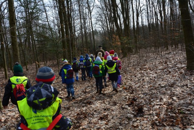 Wycieczka do lasu